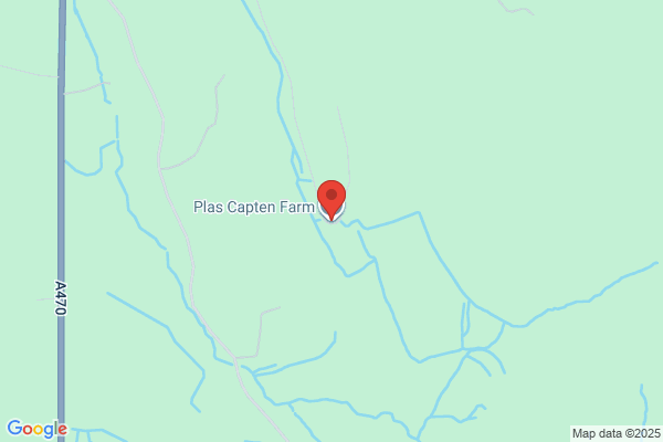 Plas Capten Farm