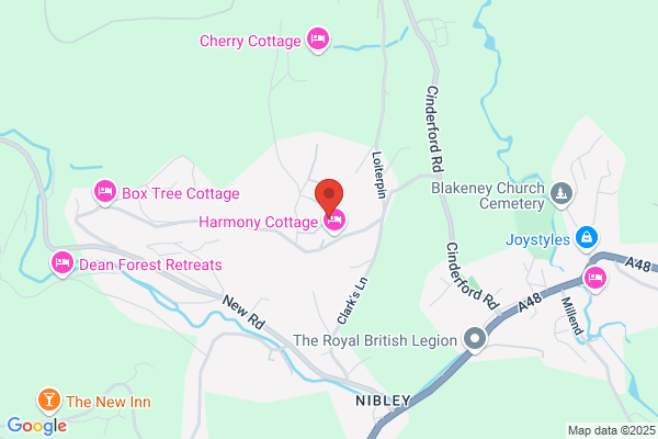 Dean Forest Timber Treatments