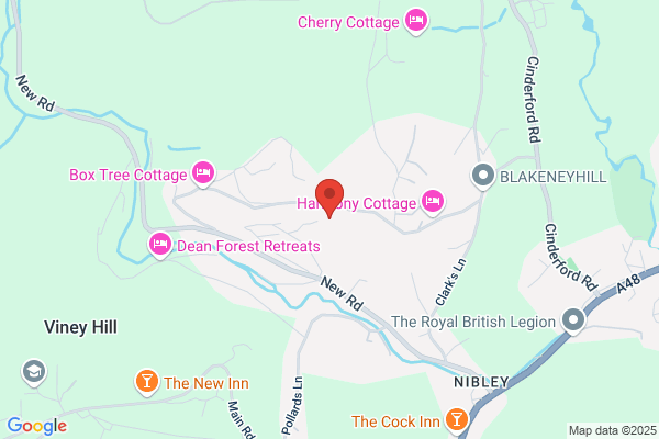 Forest Finance Ltd