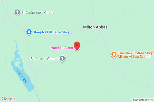 Hambro Arms