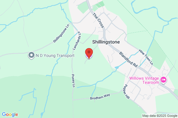 M Duncan