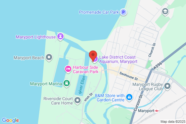 Harbour Cafe