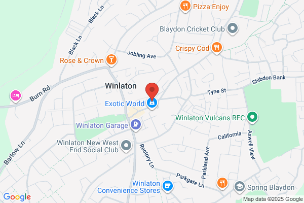 Winlaton Appliance Repairs