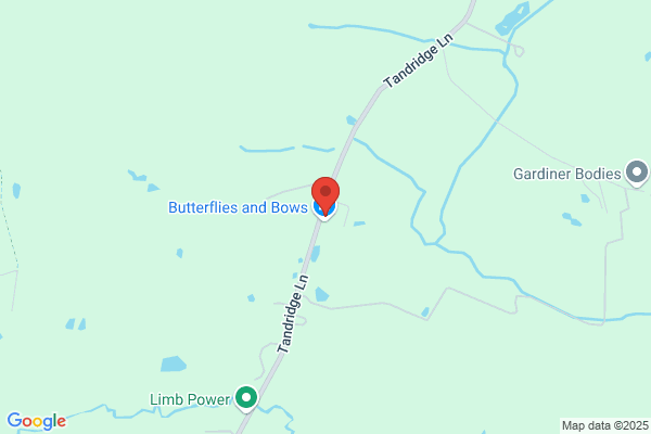 Papillon Embroidery