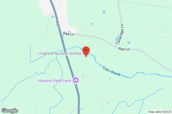 Lingfield Nursery Ltd