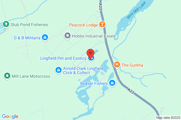 The Purple Pet Centre