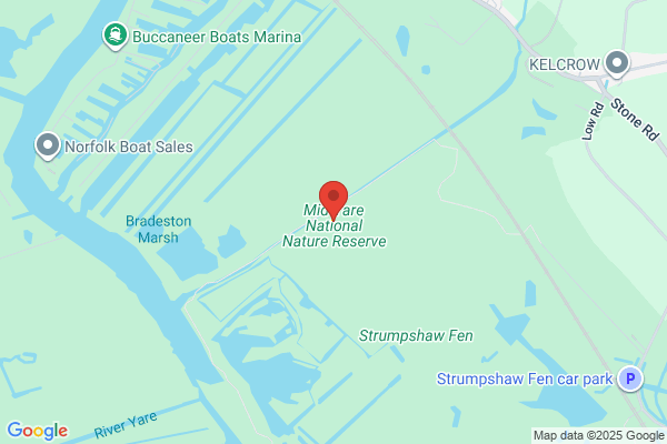 The Yare