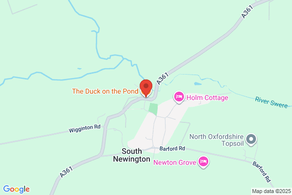 The Duck on the Pond