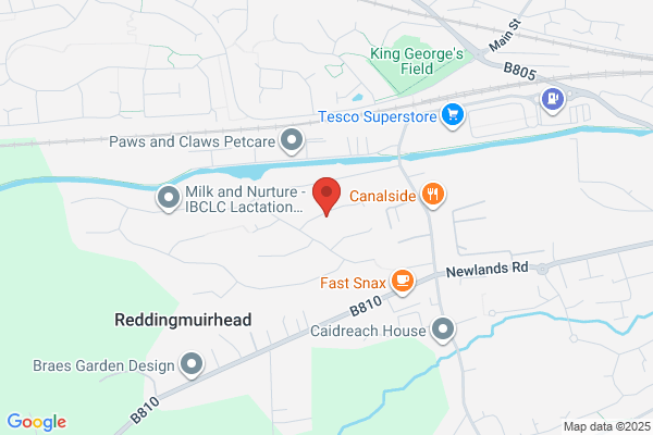 Central Scotland Services