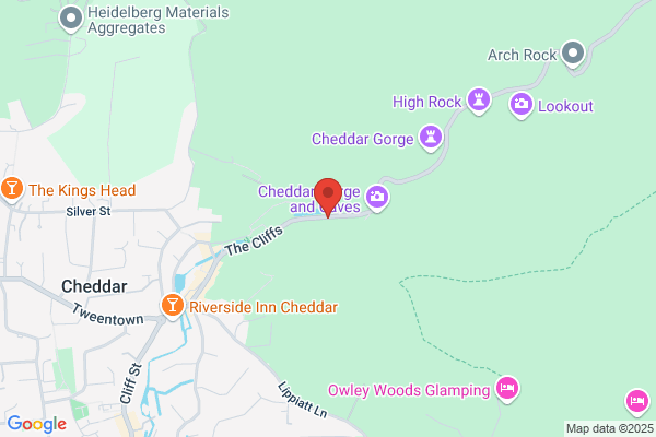 The Gorge Bear Co