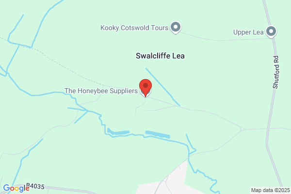 Bee Man Services