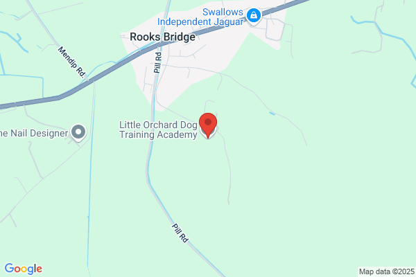 The Orchard Dog Training Centre