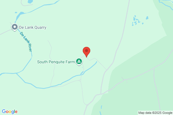 Penquite Kennels & Cattery