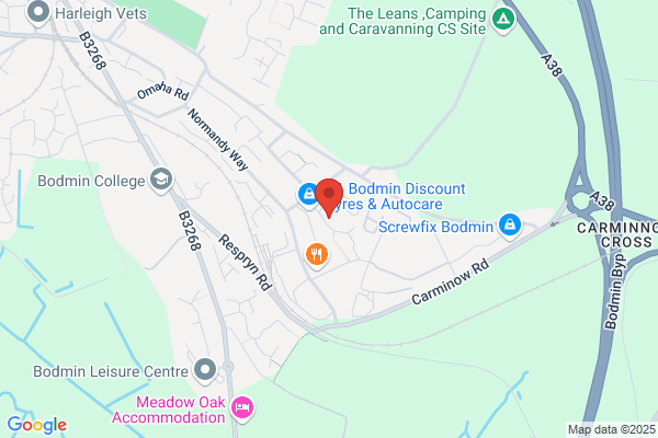 Toms Auto repairs