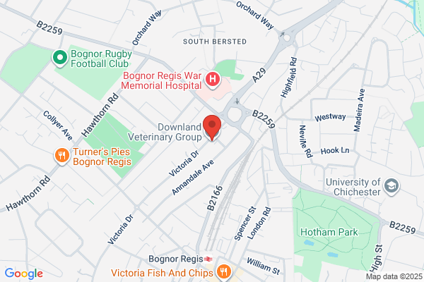Downland Veterinary Group