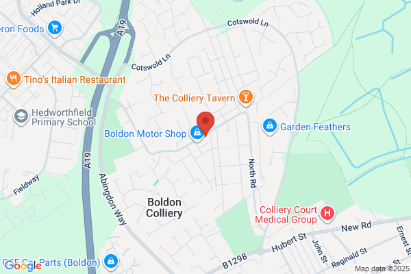 Golden Chippy