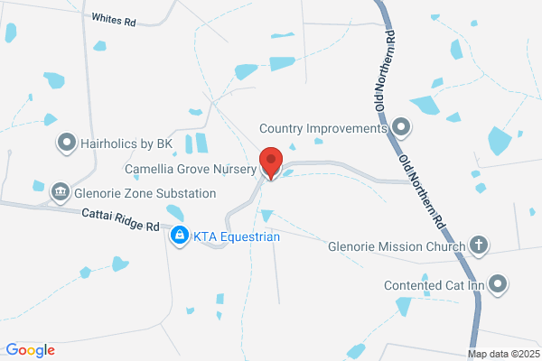 Camellia Grove Nursery
