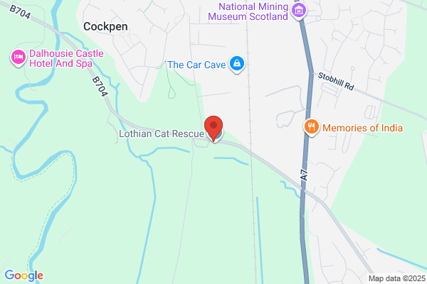 Lothian Cat Rescue