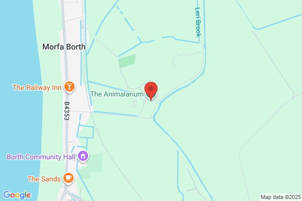The Animalarium (Borth)