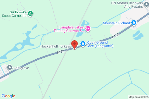 Lincs Turkeys