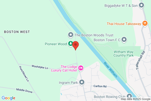 The Hessle Pear