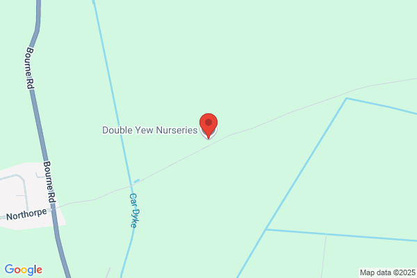 Double Yew Nurseries Ltd