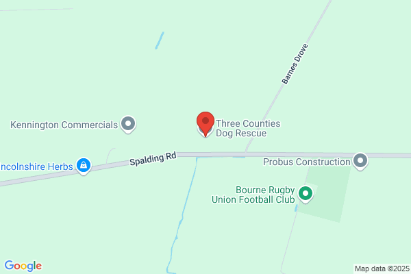 Three Counties Dog Rescue