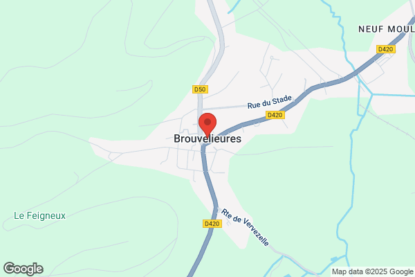 R Bruvelis