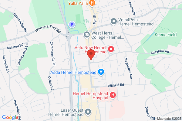 Connells Estate Agents Hemel Hempstead