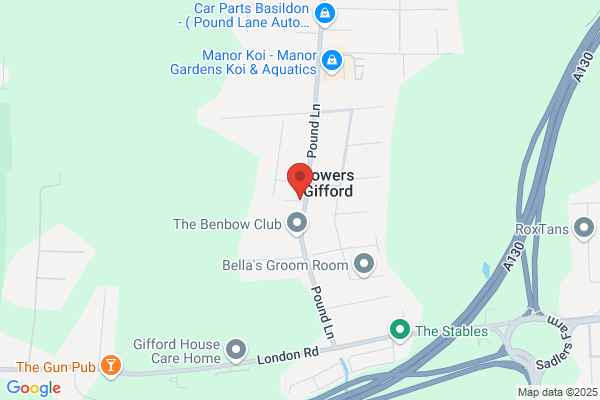 Wilton Birds & Exotic Pet Centre