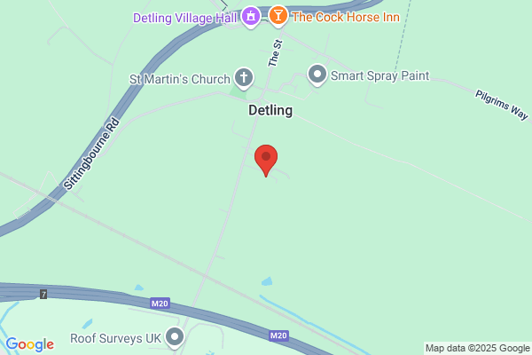 Terri Rhodes