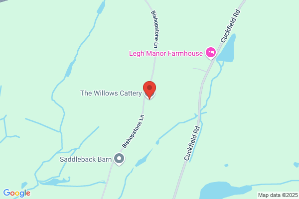 Willow Cottage Cattery