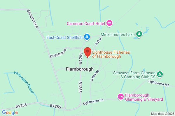 The Lighthouse Fisheries