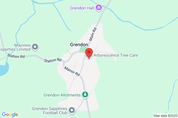 Arborescence Tree Care