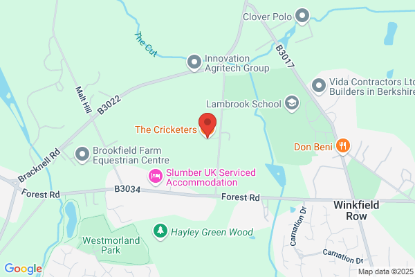 The Cricketers