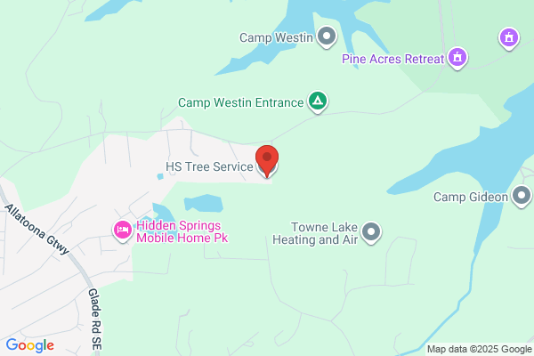 H & S Tree Services
