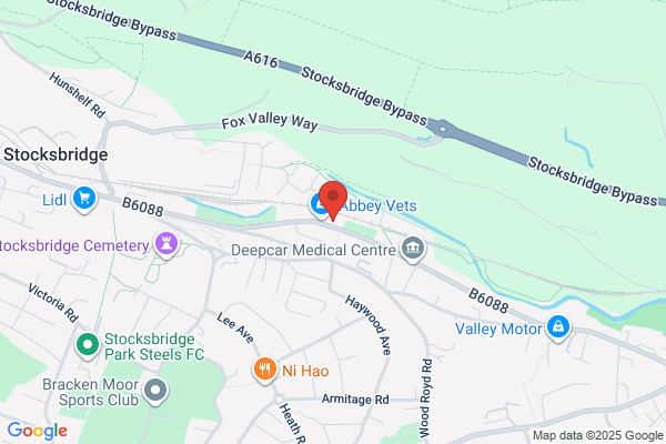 Deepcar Dental Care