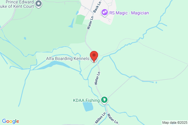 Alfa Boarding Kennels