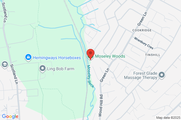 Moseley Wood Ceramics