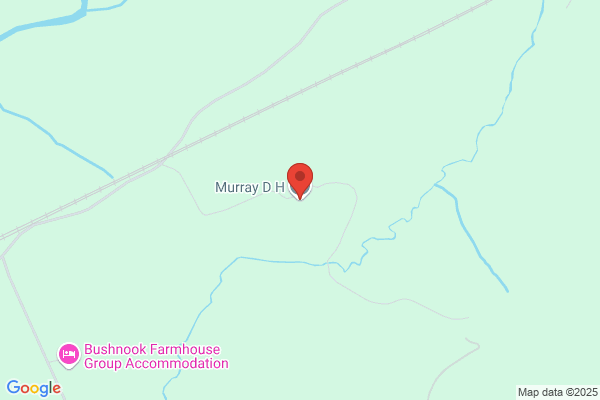 S E Murray