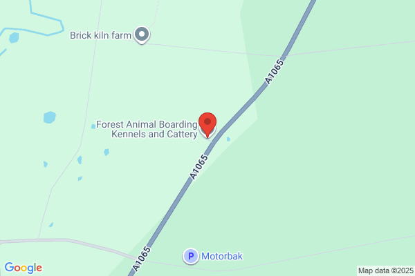 Forest Boarding Kennels