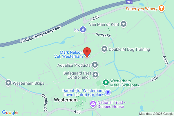 Mark Nelson Vet, Westerham