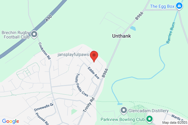 Discovery Electrical Ltd