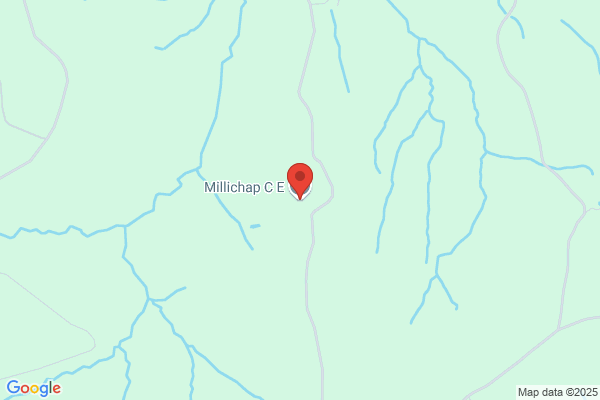 C E Millichap