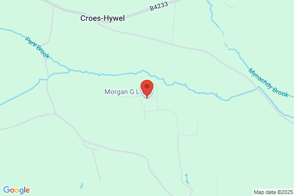 C L Morgan