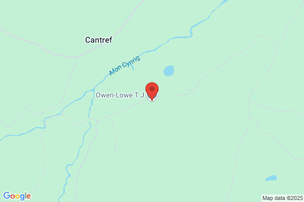 T J Owen-Lowe