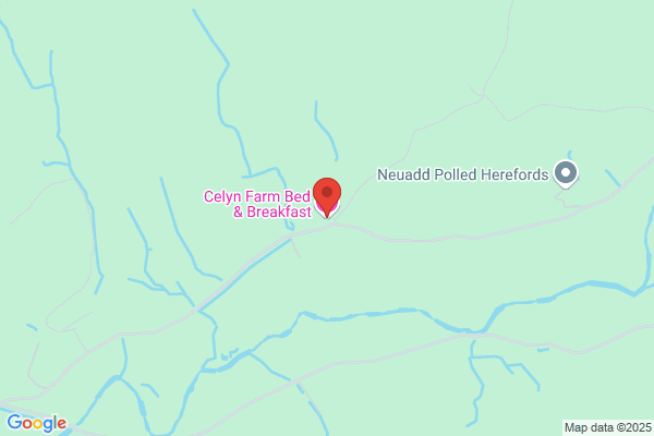 Plas Celyn Farm Bed & Breakfast