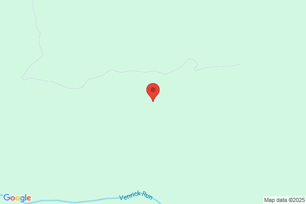 Palque Mountain