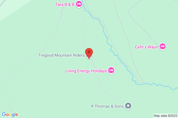 Tregoyd Mountain Riding Holidays
