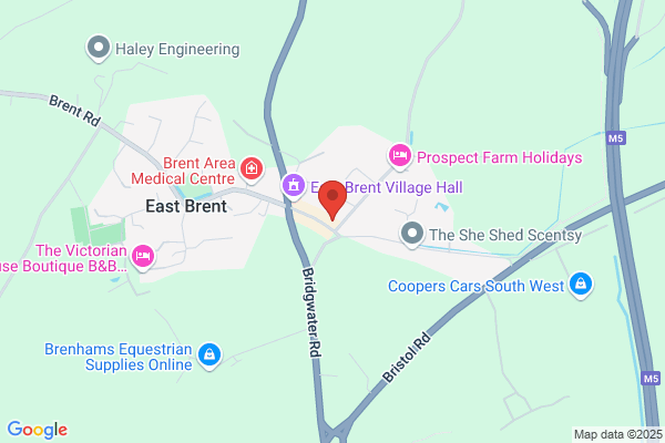 Thizledo Vine